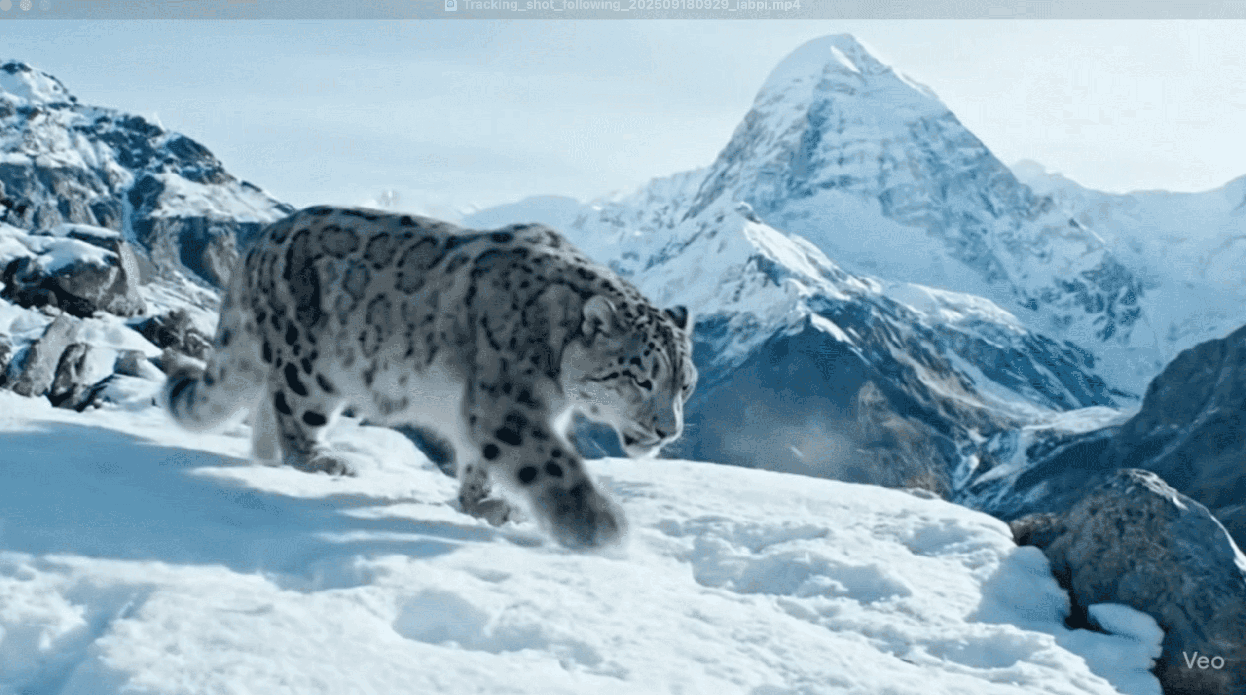 Wildlife Documentary Snow Leopard: Google Veo 3, Runway Gen-3, Pika Labs, Stability AI Video, Haiper AI Prompt
