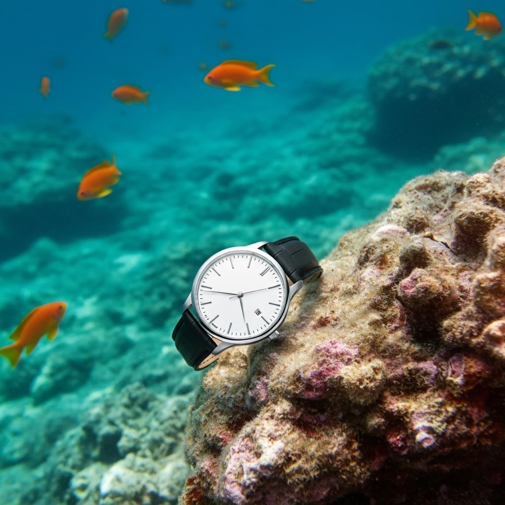 Product Watch Minimalist Aquatic Photography: Google Imagen prompts, Nano Banana prompts, Midjourney prompts, ChatGPT prompts, DALL-E prompts Prompt