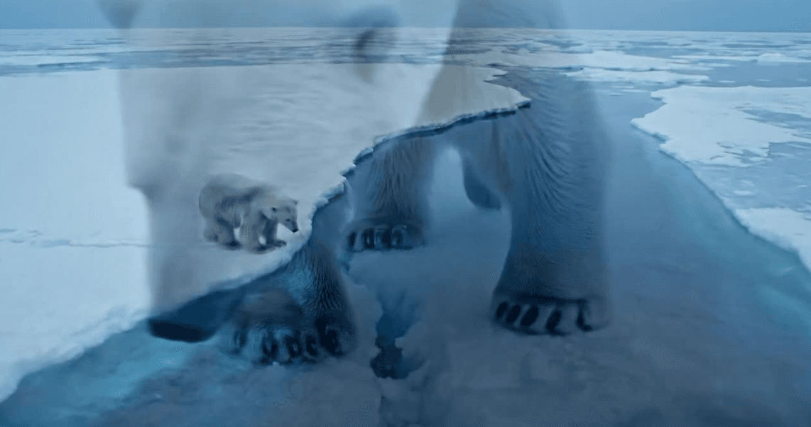 Arctic IMAX Polar Bear Ice Journey: Sora, Google Veo 3, Runway Gen-3, Pika Labs, Luma Dream Machine Prompt